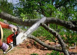 Best Weed Control  in Stone Park, IL